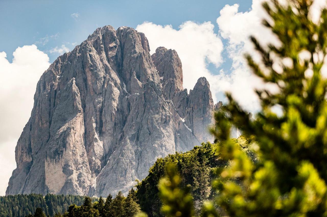 Appartamenti Hetty Santa Cristina Val Gardena Экстерьер фото
